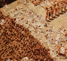 Cartografia Direitos Humanos